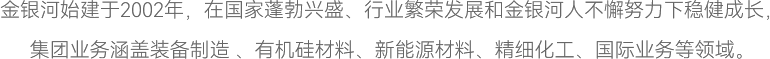 金銀河始建于2002年，在國(guó)家蓬勃興盛、行業(yè)繁榮發(fā)展和金銀河人不懈努力下穩(wěn)健成長(zhǎng)，
集團(tuán)業(yè)務(wù)涵蓋裝備制造 、有機(jī)硅材料、新能源材料、精細(xì)化工、國(guó)際業(yè)務(wù)等領(lǐng)域。